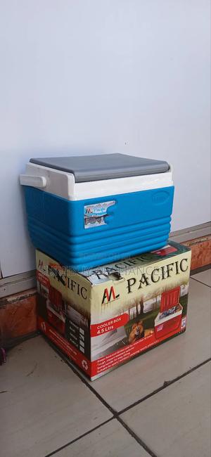 Pacific 4.5 L Insulated Portable Cooler Box - thumbnail 2