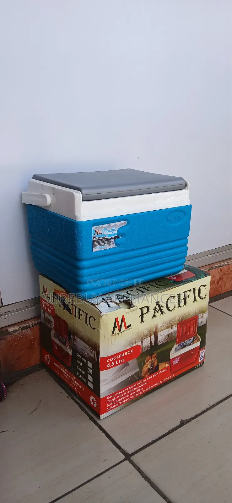 Pacific 4.5 L Insulated Portable Cooler Box
