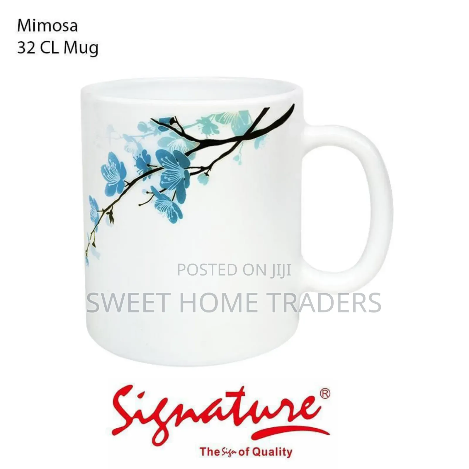 Set of 6 PCS Mimosa Signature Cups