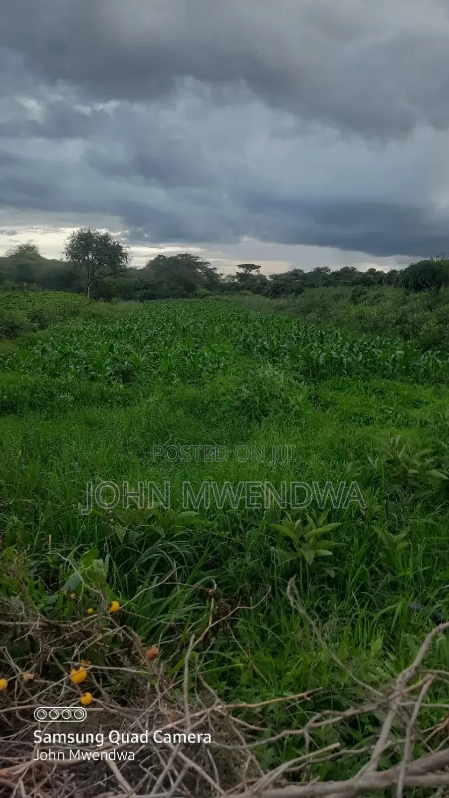 Selling 6acre Parcel of Land at Kithimani,