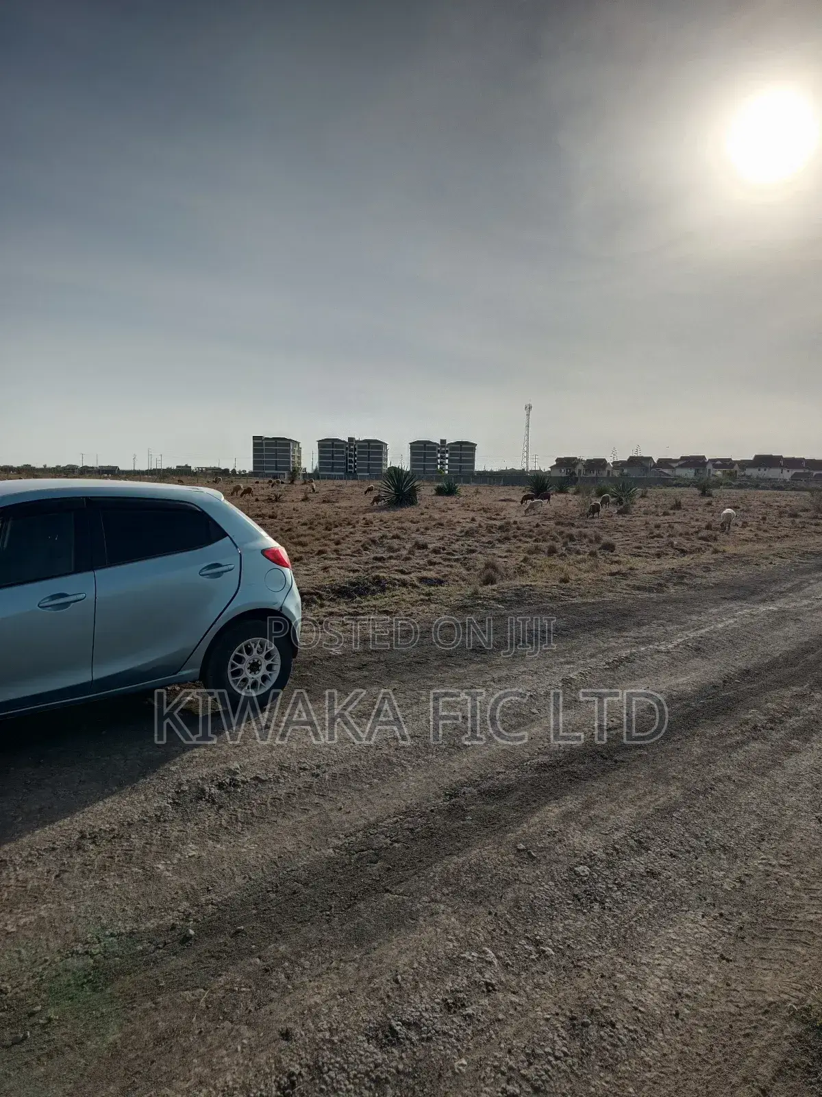 50×100 Plot for Sale in Juja