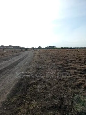 50×100 Plot for Sale in Juja