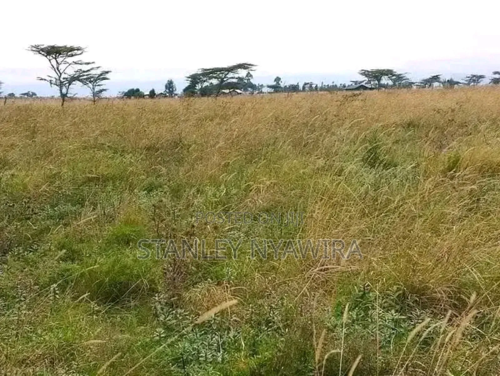 10 Acreas Gobit Munyaka