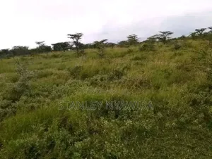 10 Acreas Gobit Munyaka