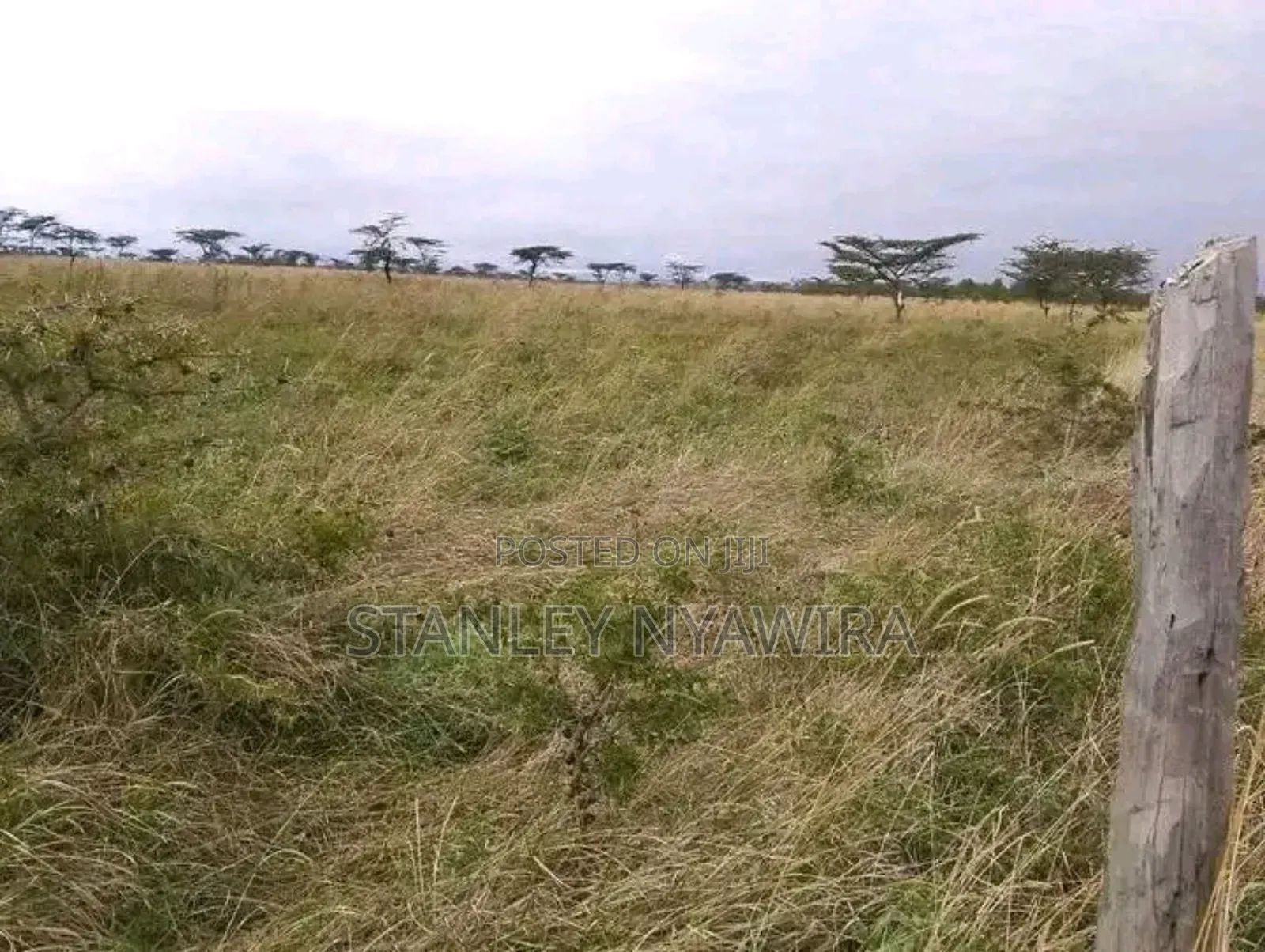 10 Acreas Gobit Munyaka