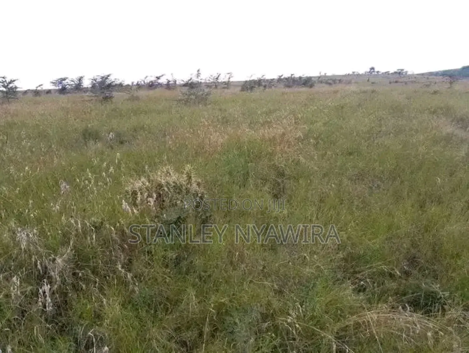 10 Acreas Gobit Munyaka