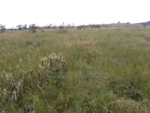 10 Acreas Gobit Munyaka