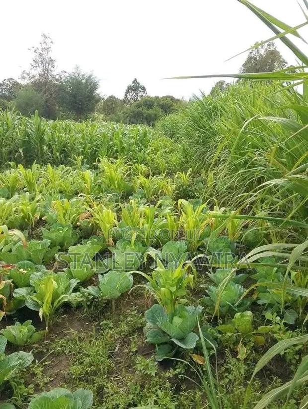 2 Acres Nanyuki for Farming - thumbnail 3