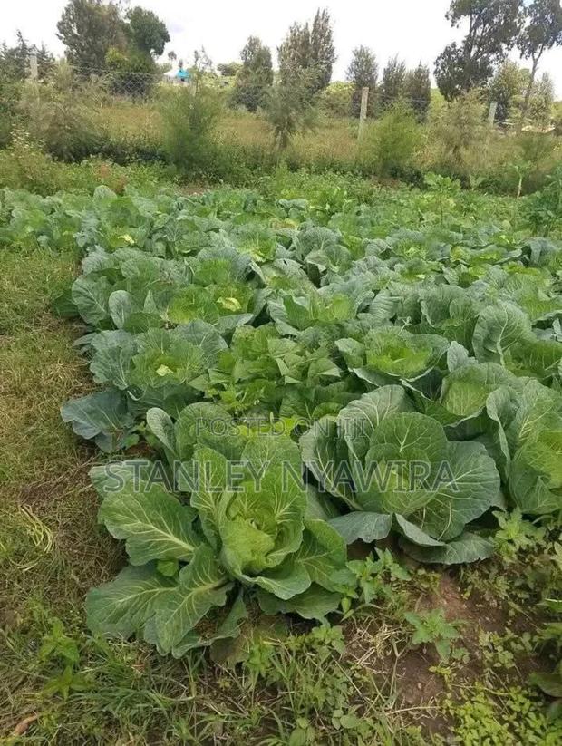 2 Acres Nanyuki for Farming - thumbnail 4