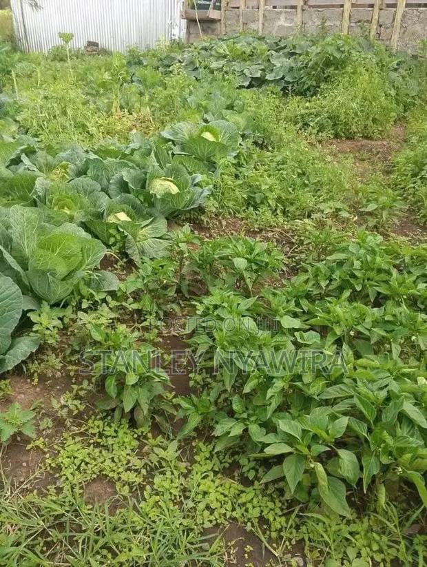 2 Acres Nanyuki for Farming - thumbnail 5
