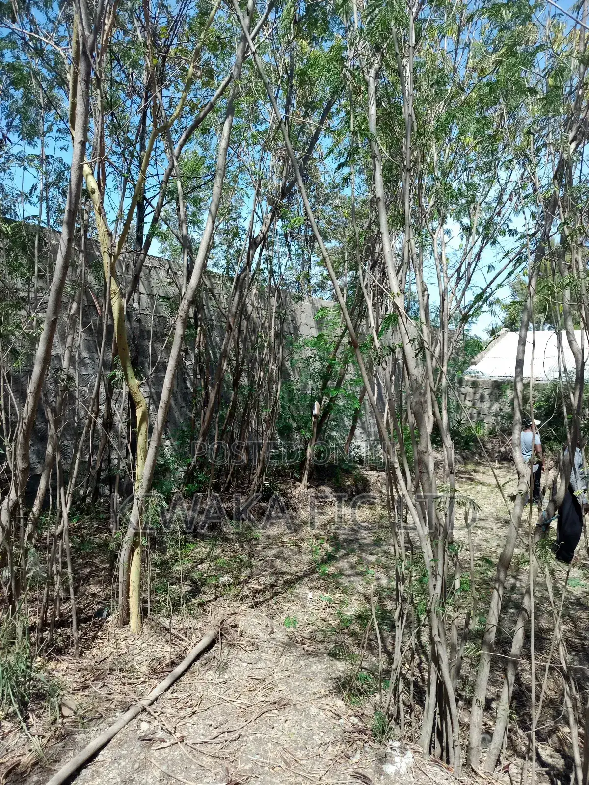 100×120 Plot for Sale in Ruai