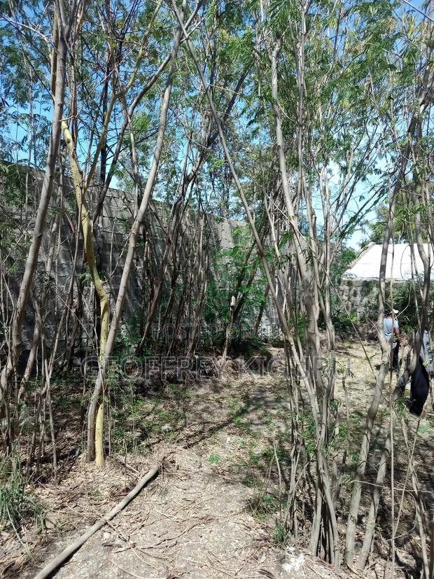 100×120 Plot for Sale in Ruai - main view