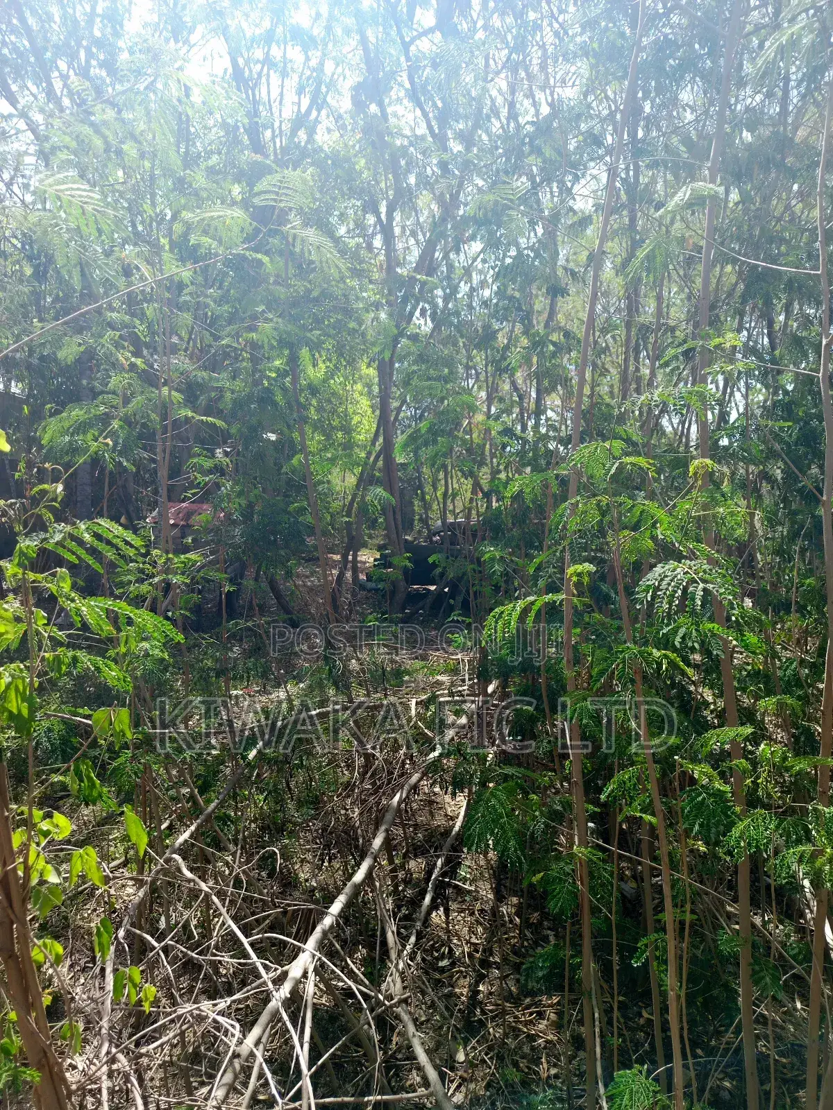 100×120 Plot for Sale in Ruai