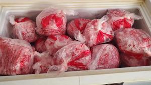 Pet Food (Chicken Mince) - main view