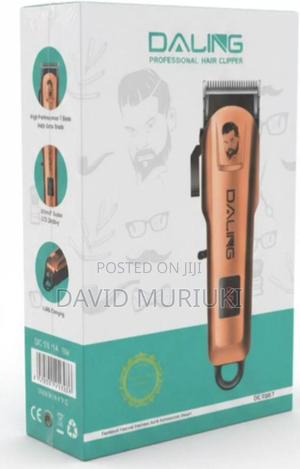 Dl 1647 Daling - thumbnail 2