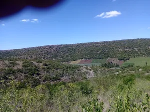 22 Acrea Gobitt . Kariguini Lakipia East