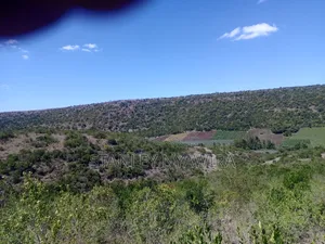 22 Acrea Gobitt . Kariguini Lakipia East