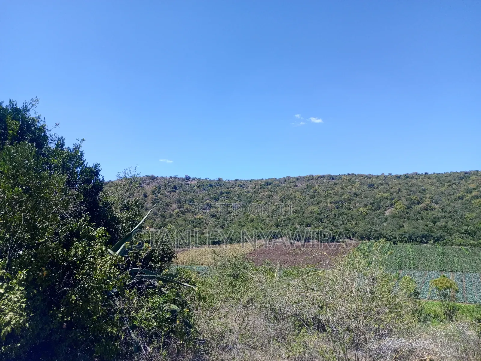 22 Acrea Gobitt . Kariguini Lakipia East