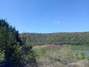 22 Acrea Gobitt . Kariguini Lakipia East