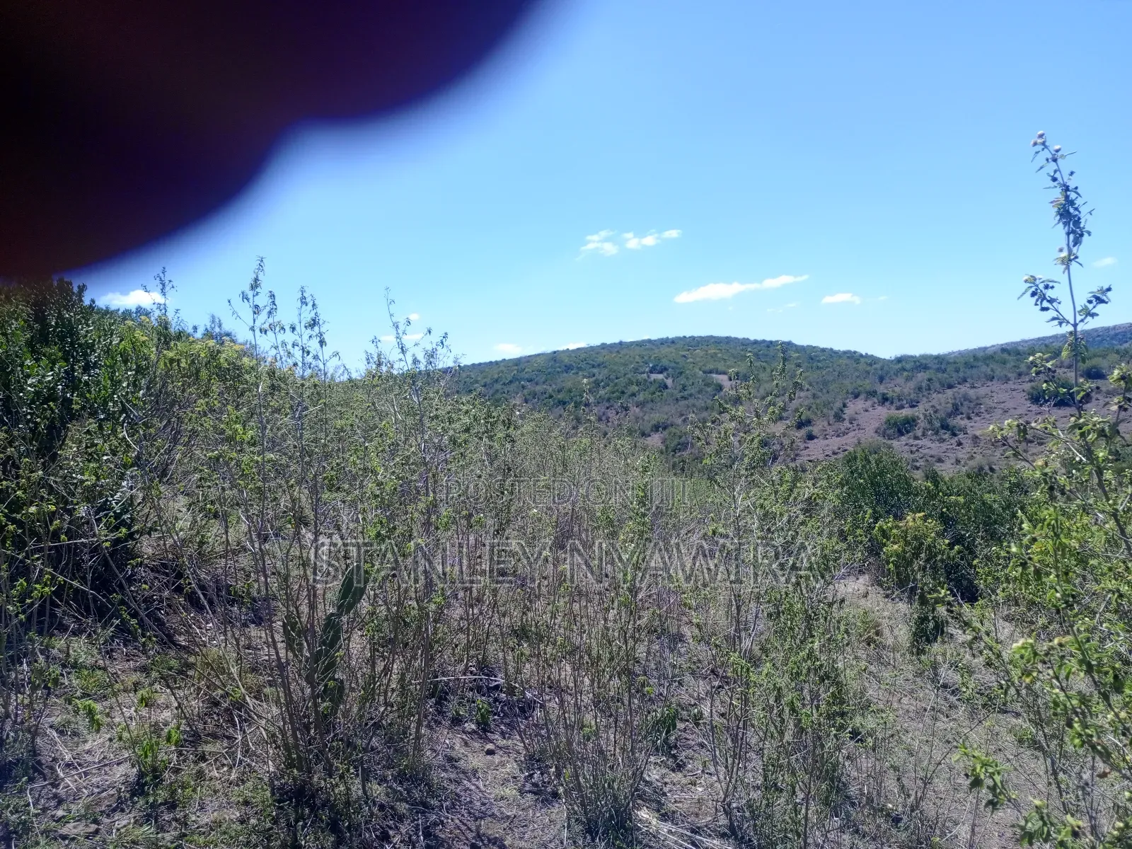 22 Acrea Gobitt . Kariguini Lakipia East