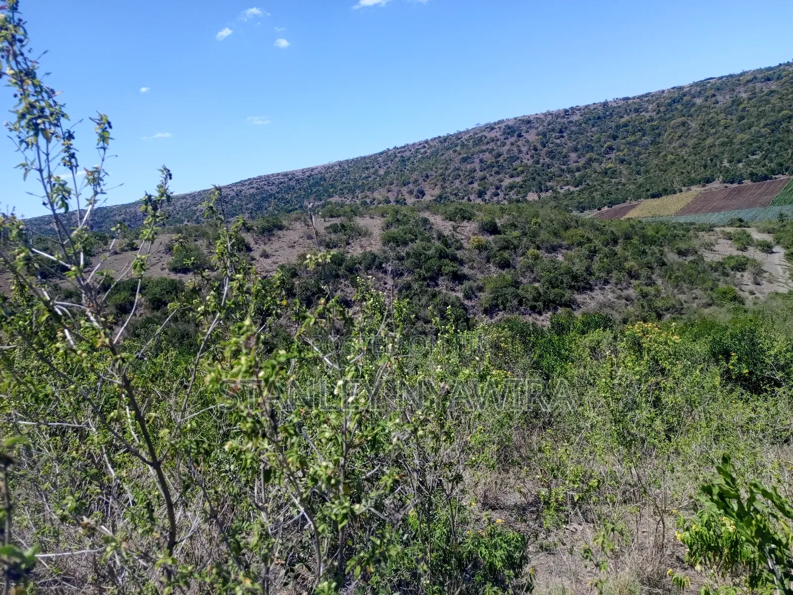 22 Acrea Gobitt . Kariguini Lakipia East