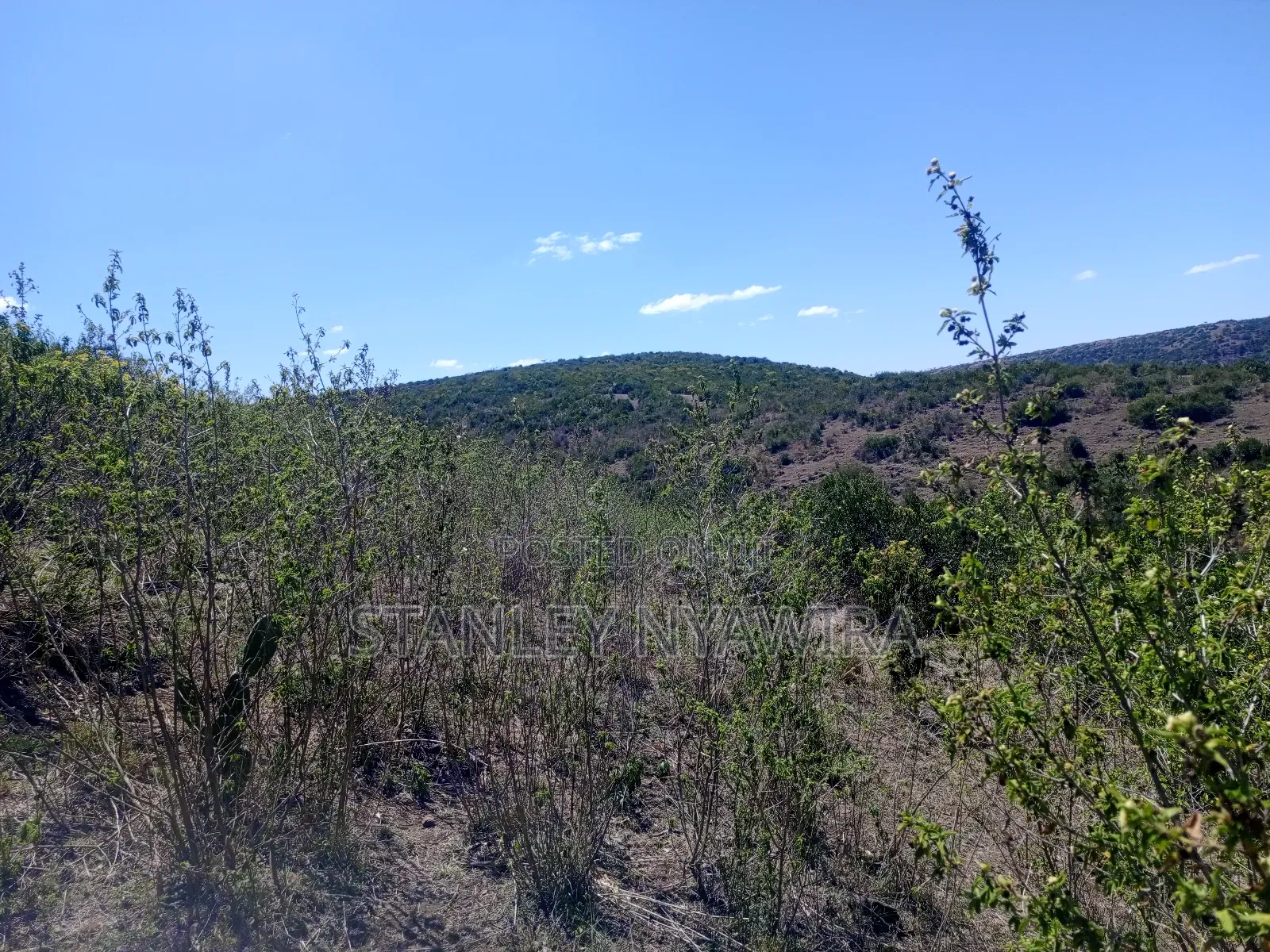 22 Acrea Gobitt . Kariguini Lakipia East