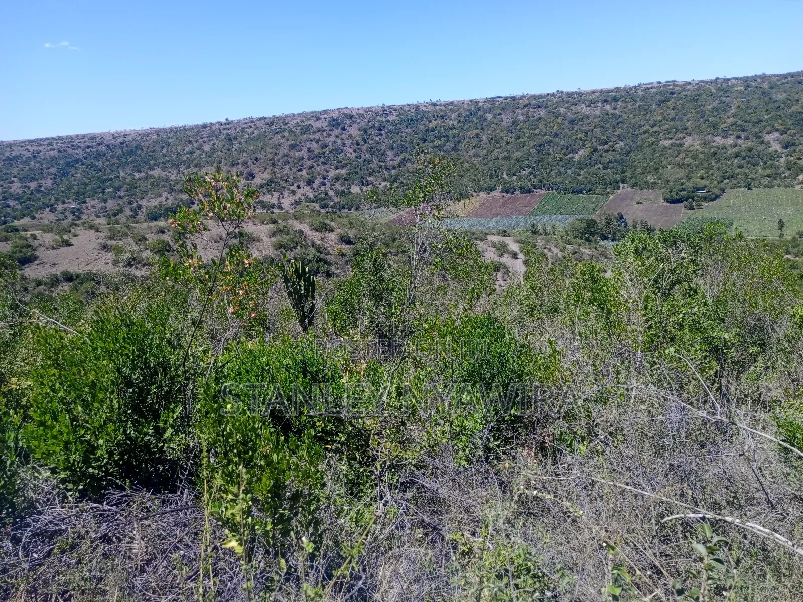 22 Acrea Gobitt . Kariguini Lakipia East