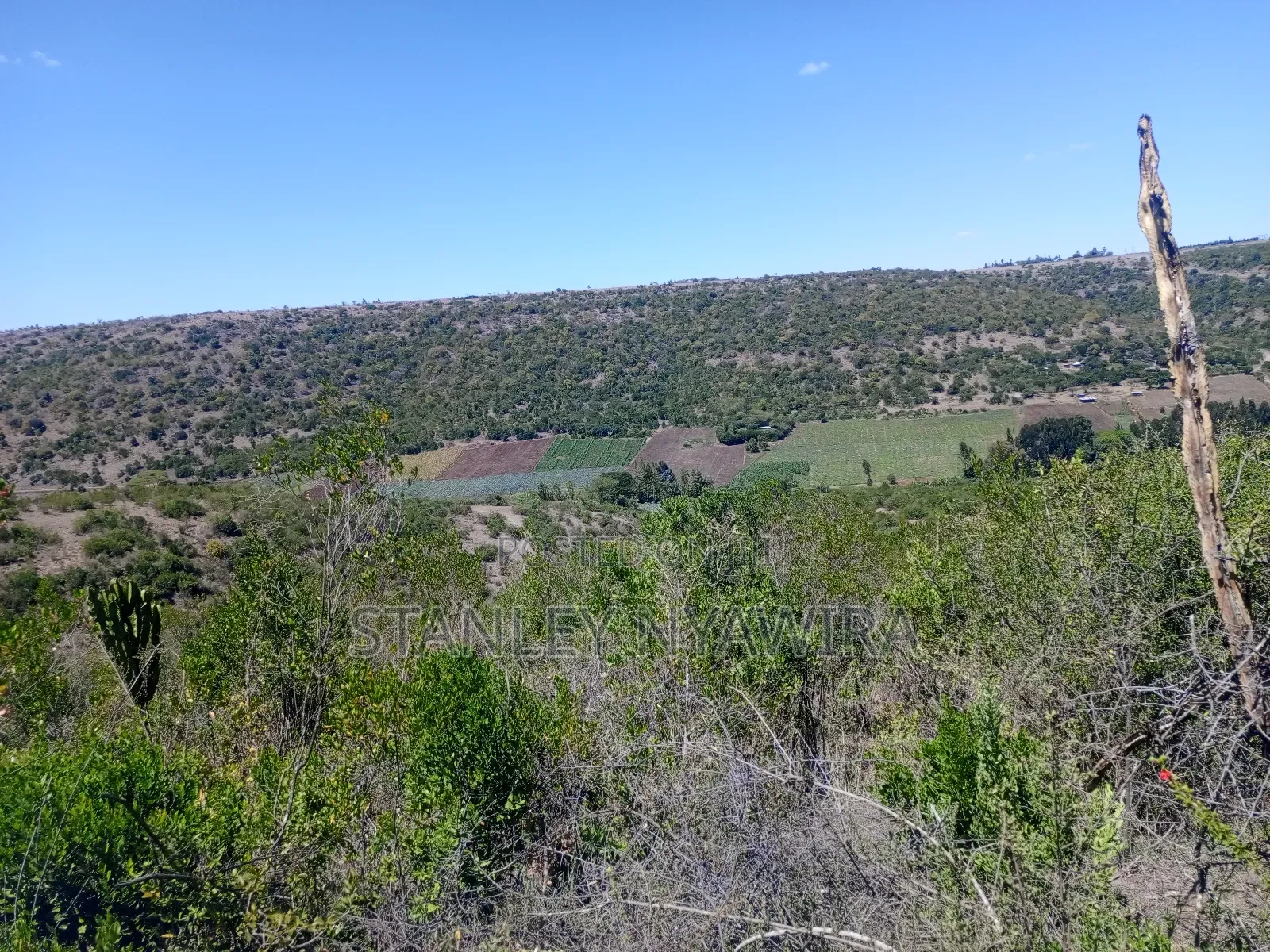 22 Acrea Gobitt . Kariguini Lakipia East