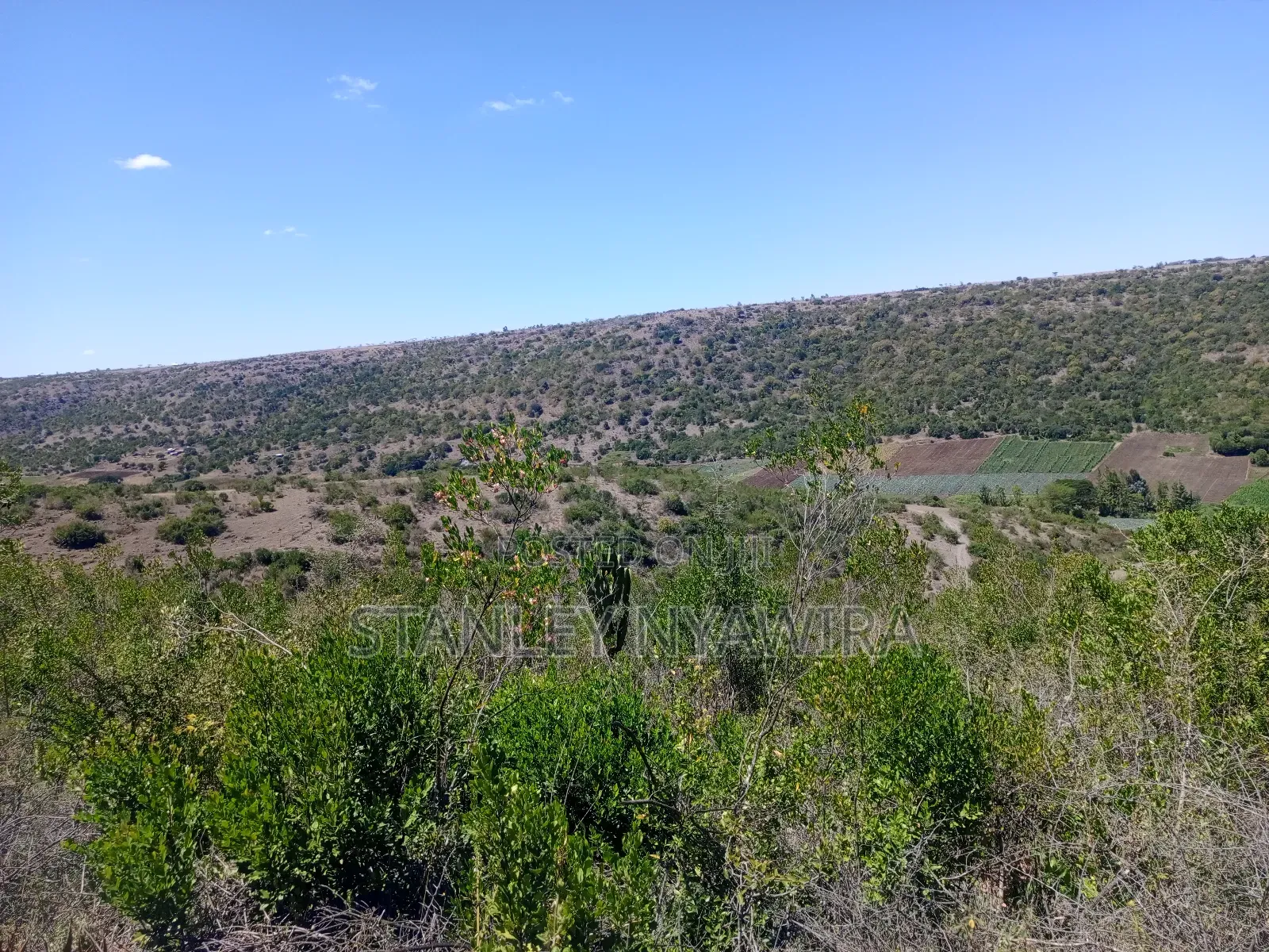 22 Acrea Gobitt . Kariguini Lakipia East
