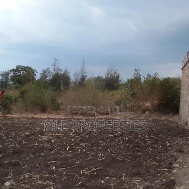 Witeithie, Malaba Plot - main view