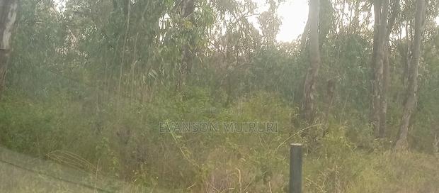 Prime Vacant 1/2 Acre in Garden Estate for Sale - main view