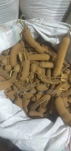 Tamarind Fruits