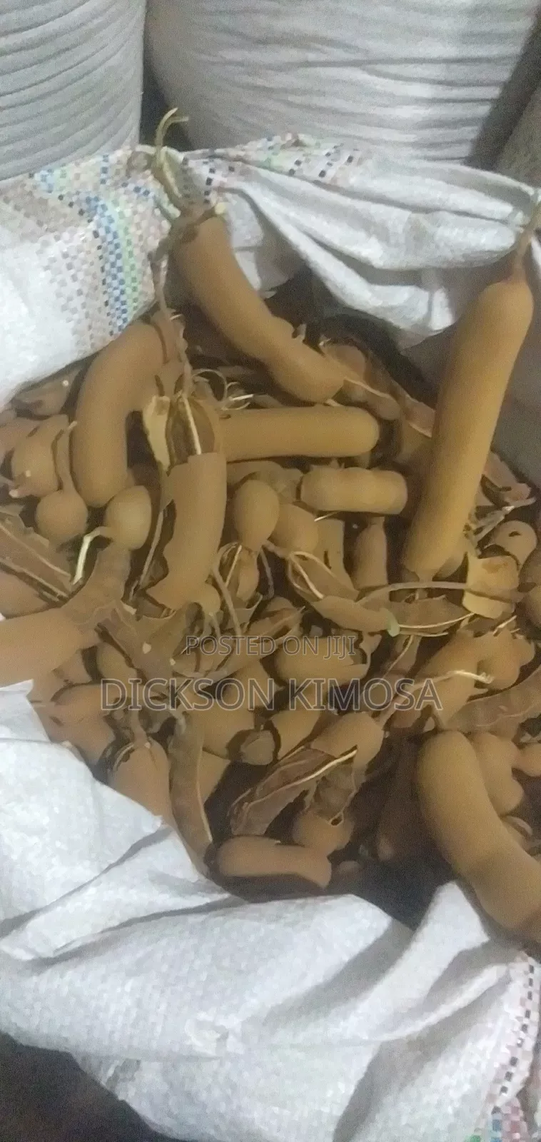 Tamarind Fruits