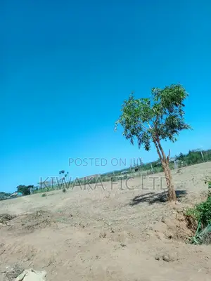 60 Acres for Sale Near Komarock Shrine