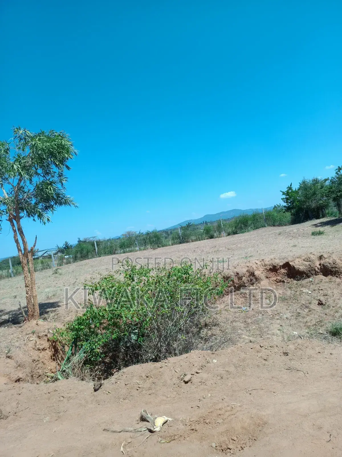 60 Acres for Sale Near Komarock Shrine