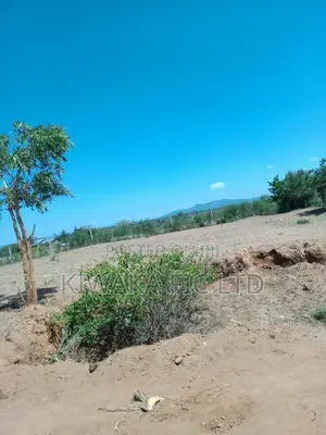 60 Acres for Sale Near Komarock Shrine