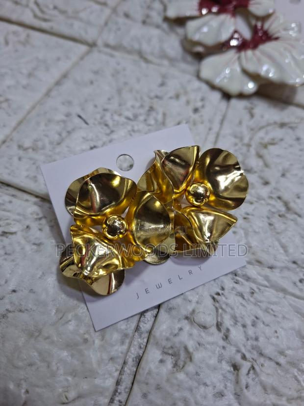 Statement Earrings - thumbnail 3