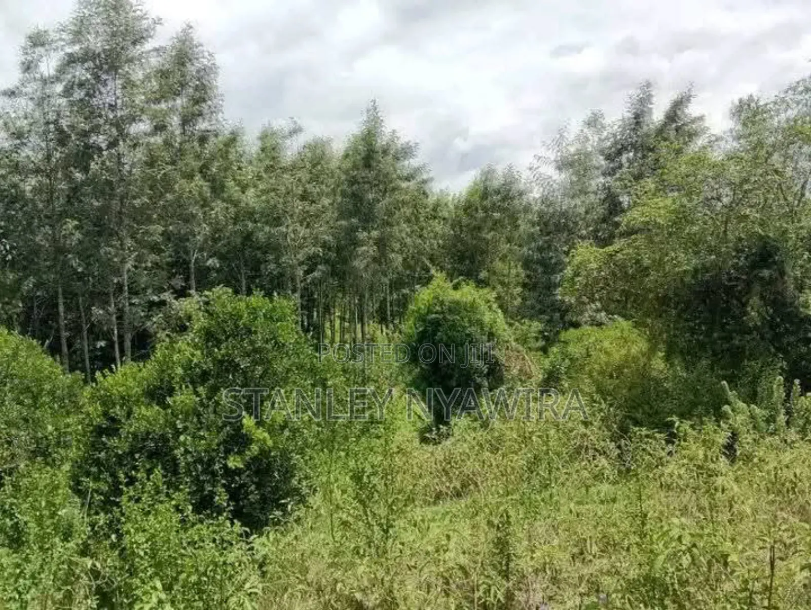 8 Acre Sale Fronting Tarmac With Permanent River Nanyuki
