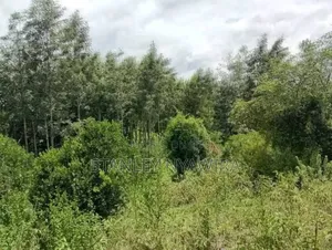 8 Acre Sale Fronting Tarmac With Permanent River Nanyuki