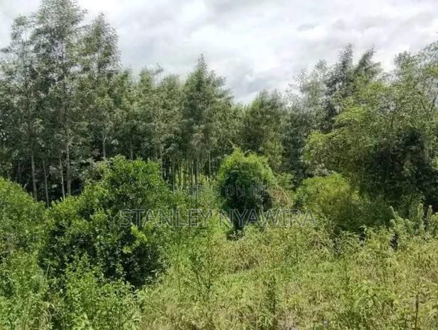 8 Acre Sale Fronting Tarmac With Permanent River Nanyuki - thumbnail 3