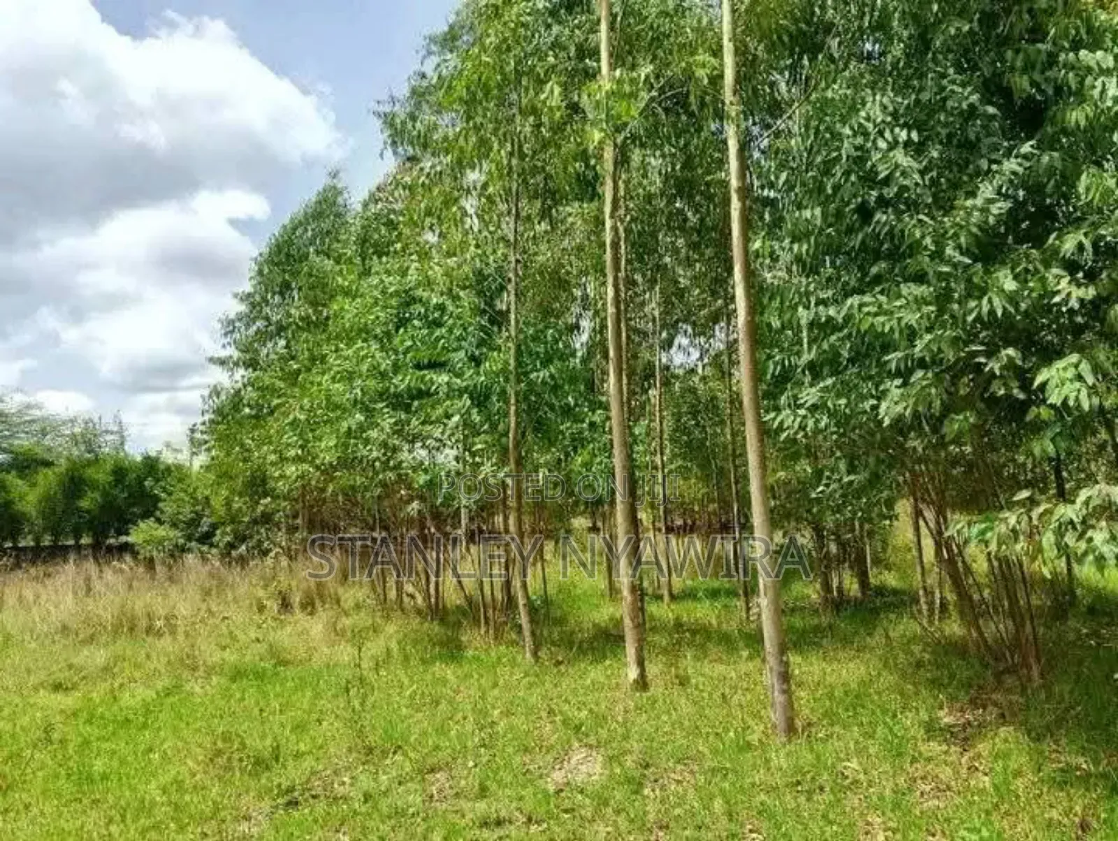 8 Acre Sale Fronting Tarmac With Permanent River Nanyuki