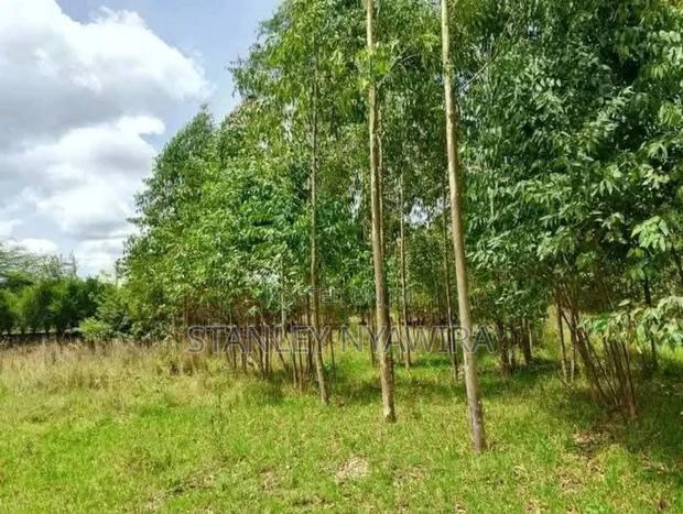 8 Acre Sale Fronting Tarmac With Permanent River Nanyuki - thumbnail 4
