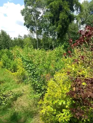 2 Acres Fronting River in Nanyuki for Sale