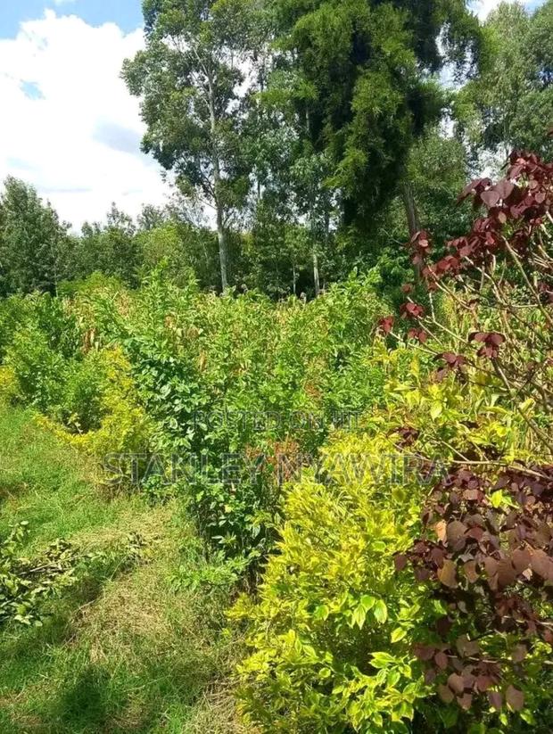 2 Acres Fronting River in Nanyuki for Sale - thumbnail 3