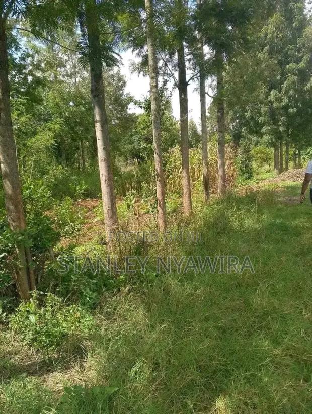 2 Acres Fronting River in Nanyuki for Sale - thumbnail 4