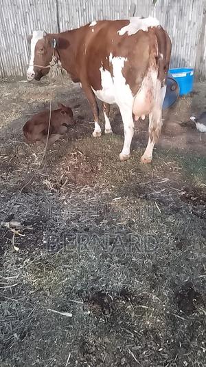 Agriculture - main view