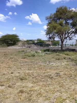 Tarmac Adjacent! 500m to Namanga Rd – Build Now, Earn Forever. Isinya