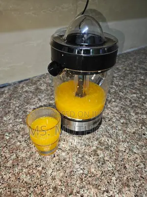 1.2l *Dsp Electric Citrus Juicer*