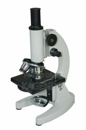Student Microscope – Educational Laboratory Microscope
