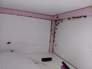 Cockroaches Fumigation